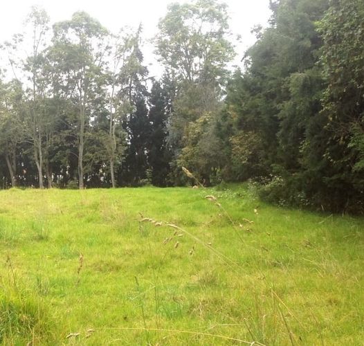 Lote en venta en Santa Rita, Chía, 7590 m² · foto 3 de 7