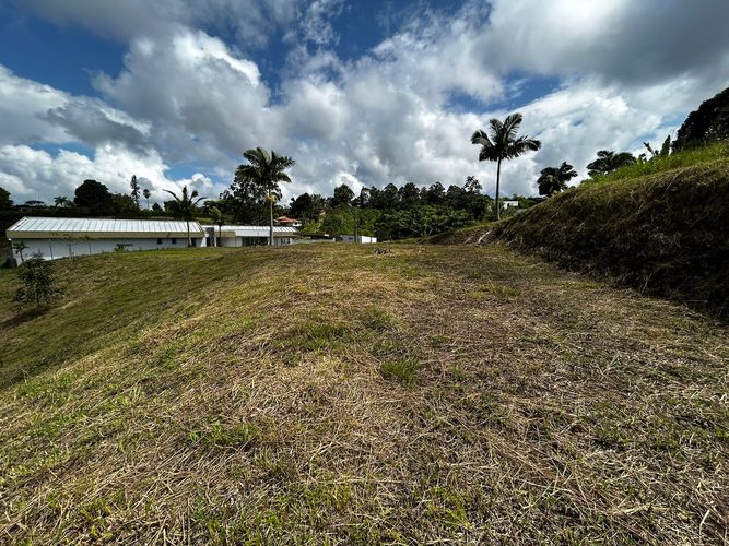 Lote en venta en Condina, Pereira, 1541 m² · foto 4 de 5