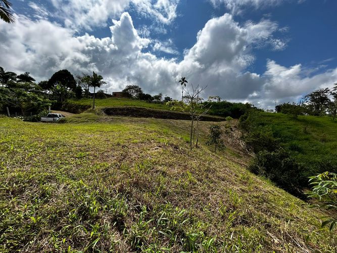 Lote en venta en Condina, Pereira, 1541 m² · foto 5 de 5