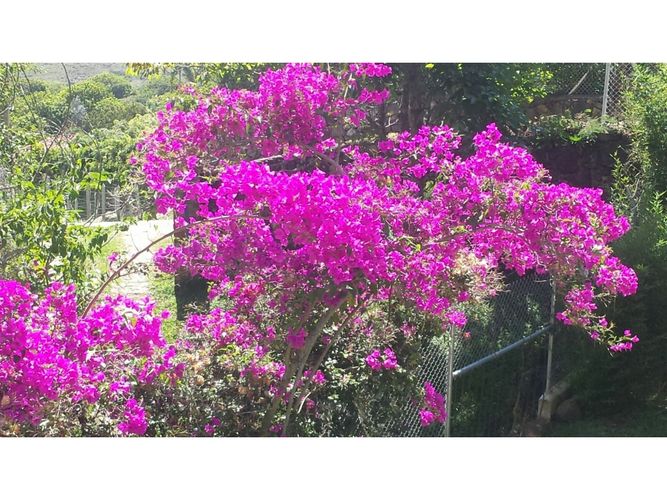 Finca en venta en Monta�Ita, Copacabana, 950 m² · foto 10 de 24