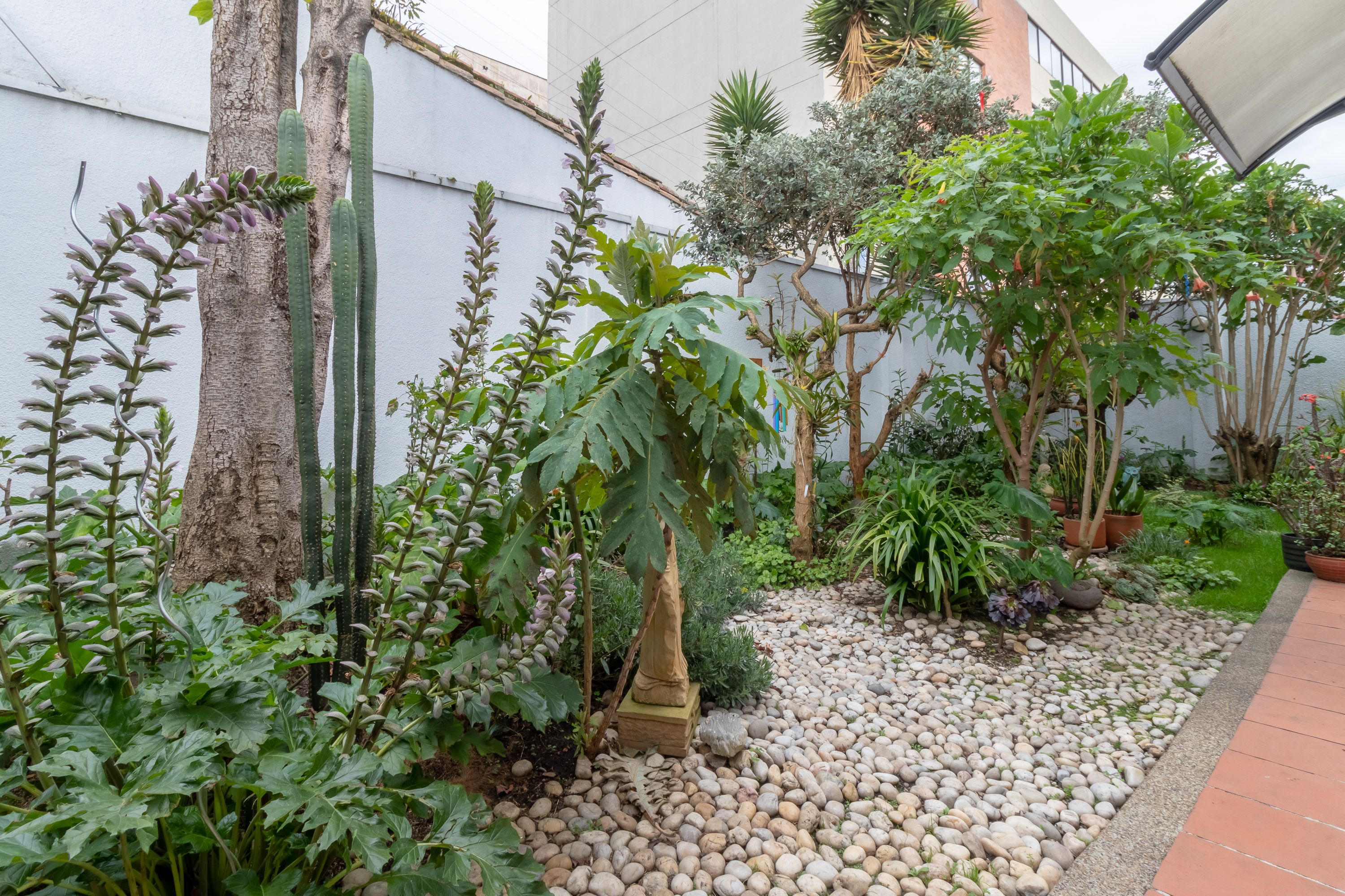 Casa en venta en San Patricio, Bogotá · foto 2 de 20