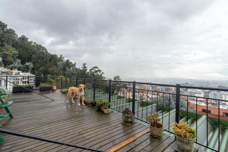 Apartamento de 3 alcobas en venta en Los Rosales, Bogotá, 271 m² · foto 16 de 20