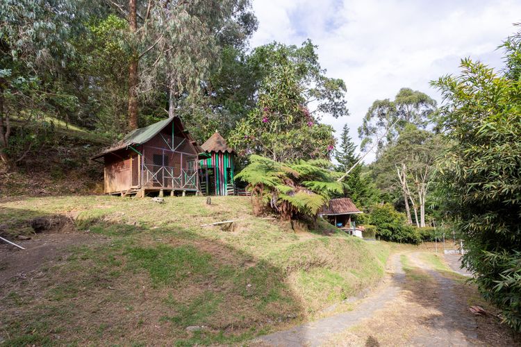 Casa de 5 alcobas en venta en Vía Las Palmas, Envigado, 382 m² · foto 7 de 11