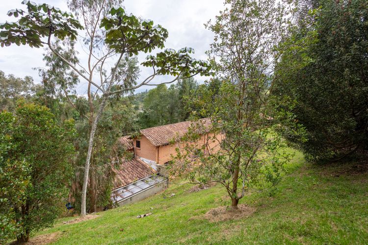 Casa de 5 alcobas en venta en Vía Las Palmas, Envigado, 382 m² · foto 8 de 11