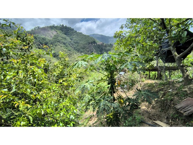 Finca en venta en Campo Verde, Piedecuesta, 66 m² · foto 13 de 24
