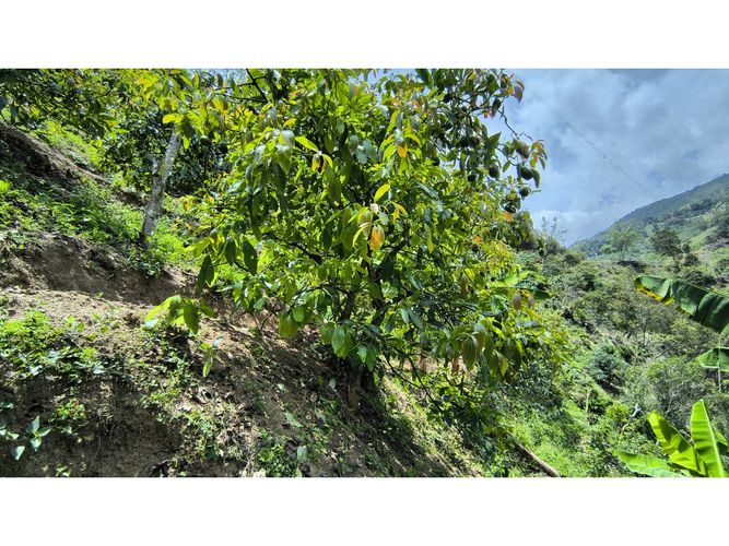 Finca en venta en Campo Verde, Piedecuesta, 66 m² · foto 14 de 24