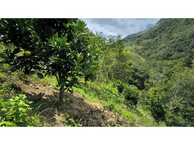 Finca en venta en Campo Verde, Piedecuesta, 66 m² · foto 15 de 24