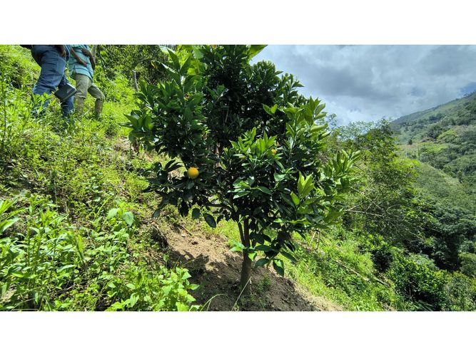 Finca en venta en Campo Verde, Piedecuesta, 66 m² · foto 16 de 24