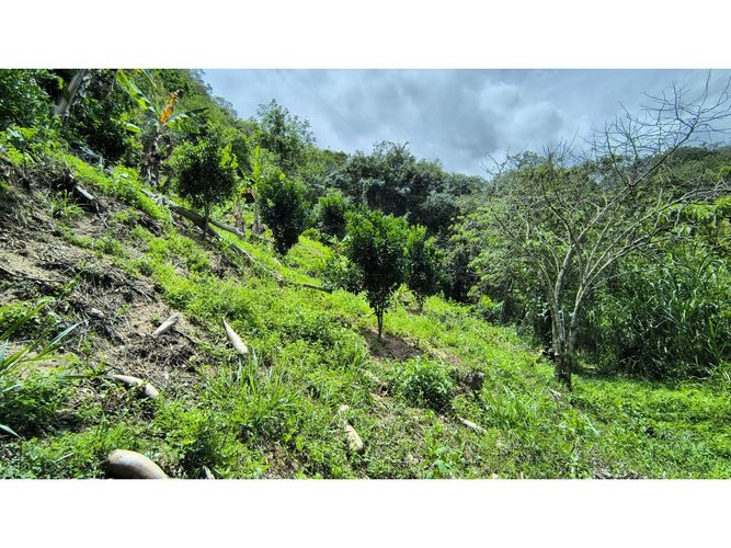 Finca en venta en Campo Verde, Piedecuesta, 66 m² · foto 17 de 24