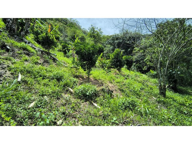 Finca en venta en Campo Verde, Piedecuesta, 66 m² · foto 18 de 24