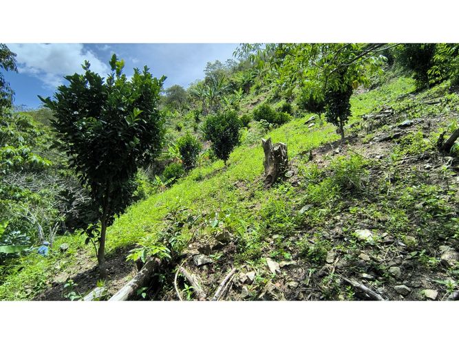 Finca en venta en Campo Verde, Piedecuesta, 66 m² · foto 19 de 24