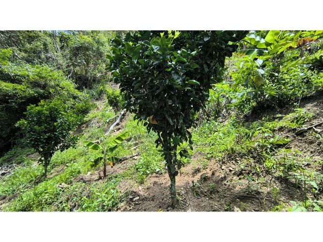 Finca en venta en Campo Verde, Piedecuesta, 66 m² · foto 20 de 24