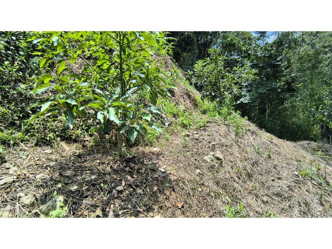 Finca en venta en Campo Verde, Piedecuesta, 66 m² · foto 21 de 24