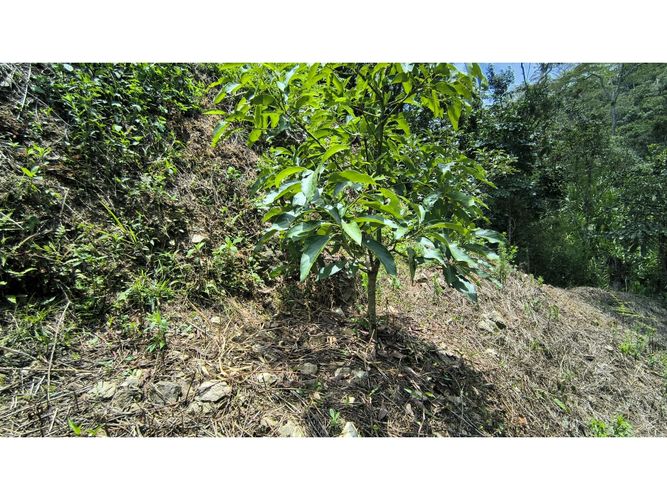 Finca en venta en Campo Verde, Piedecuesta, 66 m² · foto 22 de 24