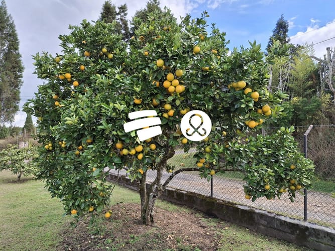 Finca en venta en La Mosca, Guarne, 6880 m² · foto 14 de 18