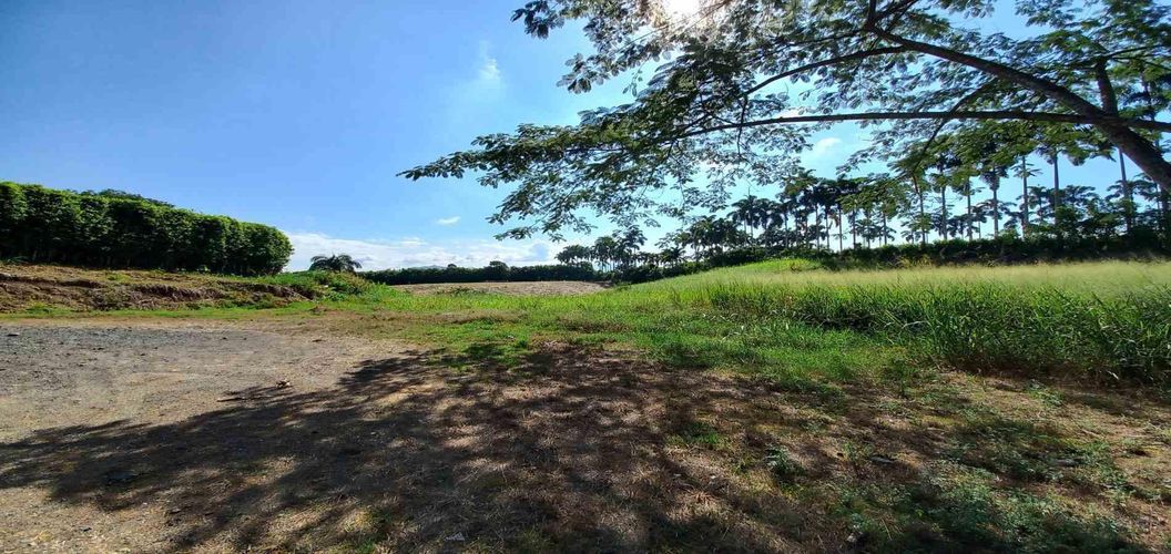 Lote en venta en Cerritos, Pereira, 3000 m² · foto 2 de 19