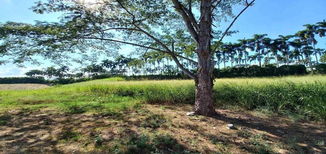 Lote en venta en Cerritos, Pereira, 3000 m² · foto 3 de 19