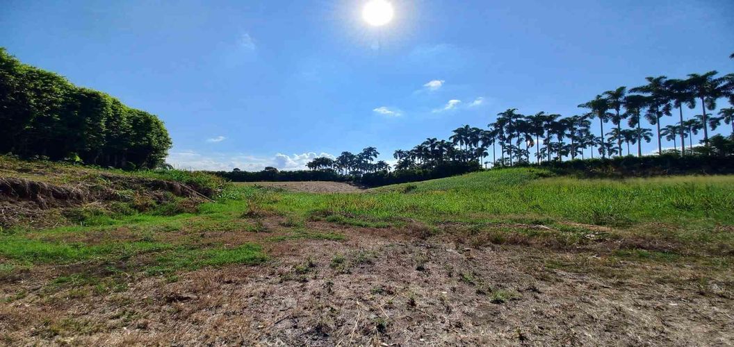 Lote en venta en Cerritos, Pereira, 3000 m² · foto 4 de 19