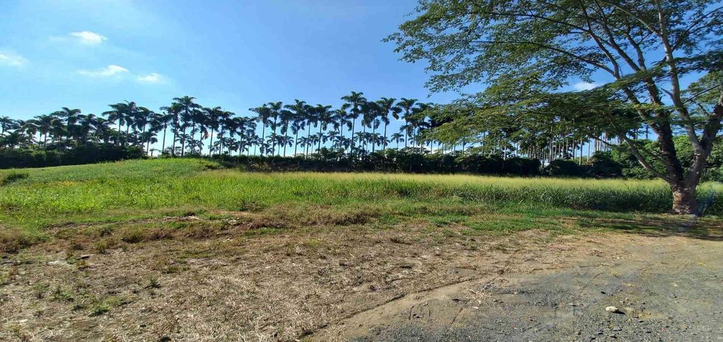 Lote en venta en Cerritos, Pereira, 3000 m² · foto 5 de 19