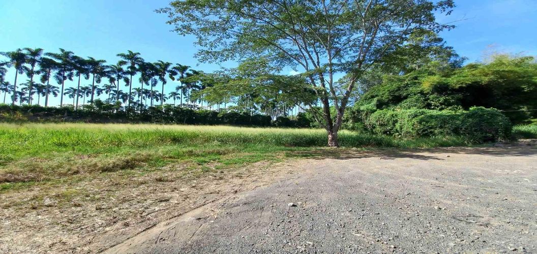 Lote en venta en Cerritos, Pereira, 3000 m² · foto 6 de 19