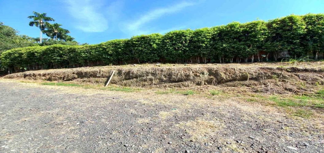 Lote en venta en Cerritos, Pereira, 3000 m² · foto 8 de 19