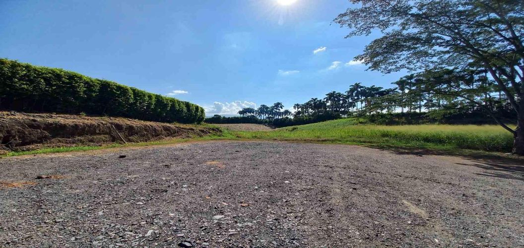 Lote en venta en Cerritos, Pereira, 3000 m² · foto 9 de 19