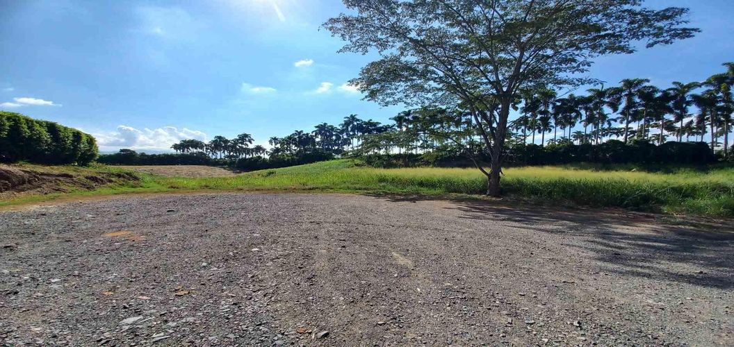 Lote en venta en Cerritos, Pereira, 3000 m² · foto 10 de 19