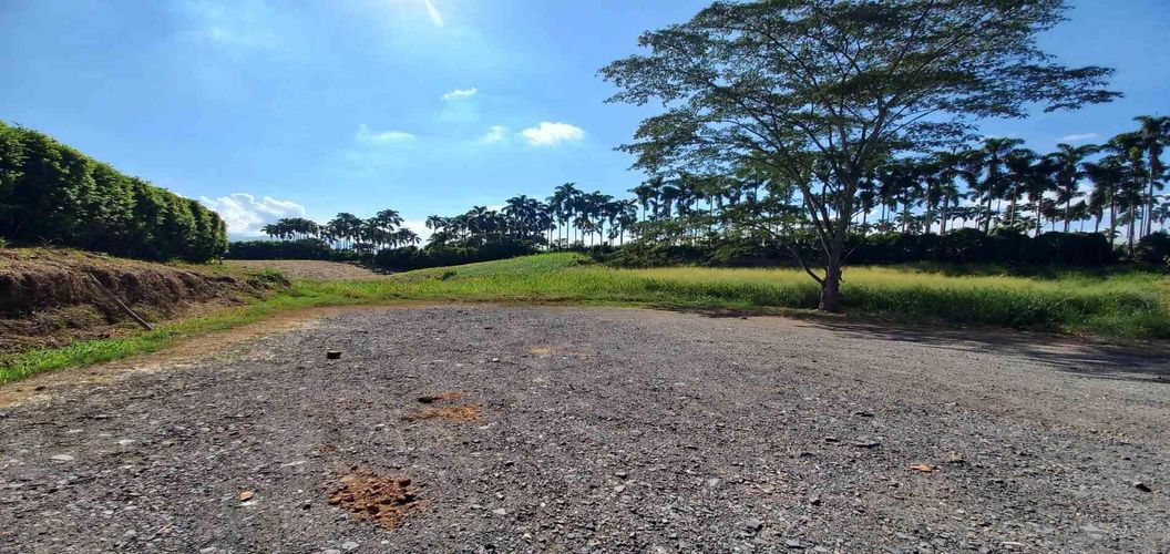 Lote en venta en Cerritos, Pereira, 3000 m² · foto 11 de 19