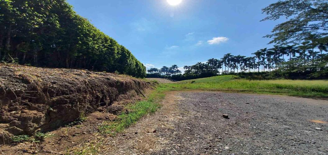 Lote en venta en Cerritos, Pereira, 3000 m² · foto 12 de 19