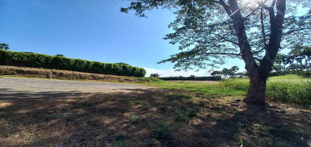 Lote en venta en Cerritos, Pereira, 3000 m² · foto 19 de 19