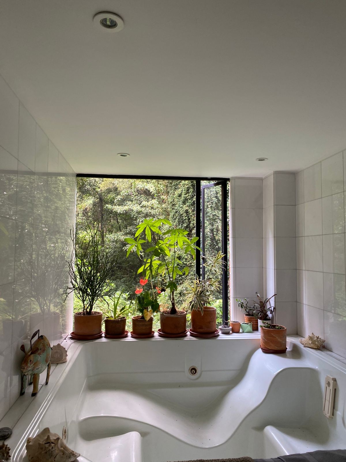 Apartamento en arriendo en Los Rosales, Bogotá · foto 5 de 24