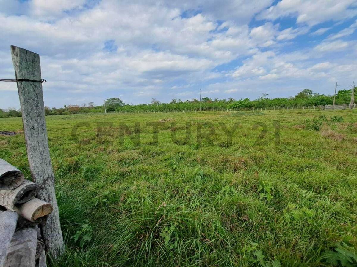 Estancia en venta con 319 ha. Concepción, Loreto — foto 2