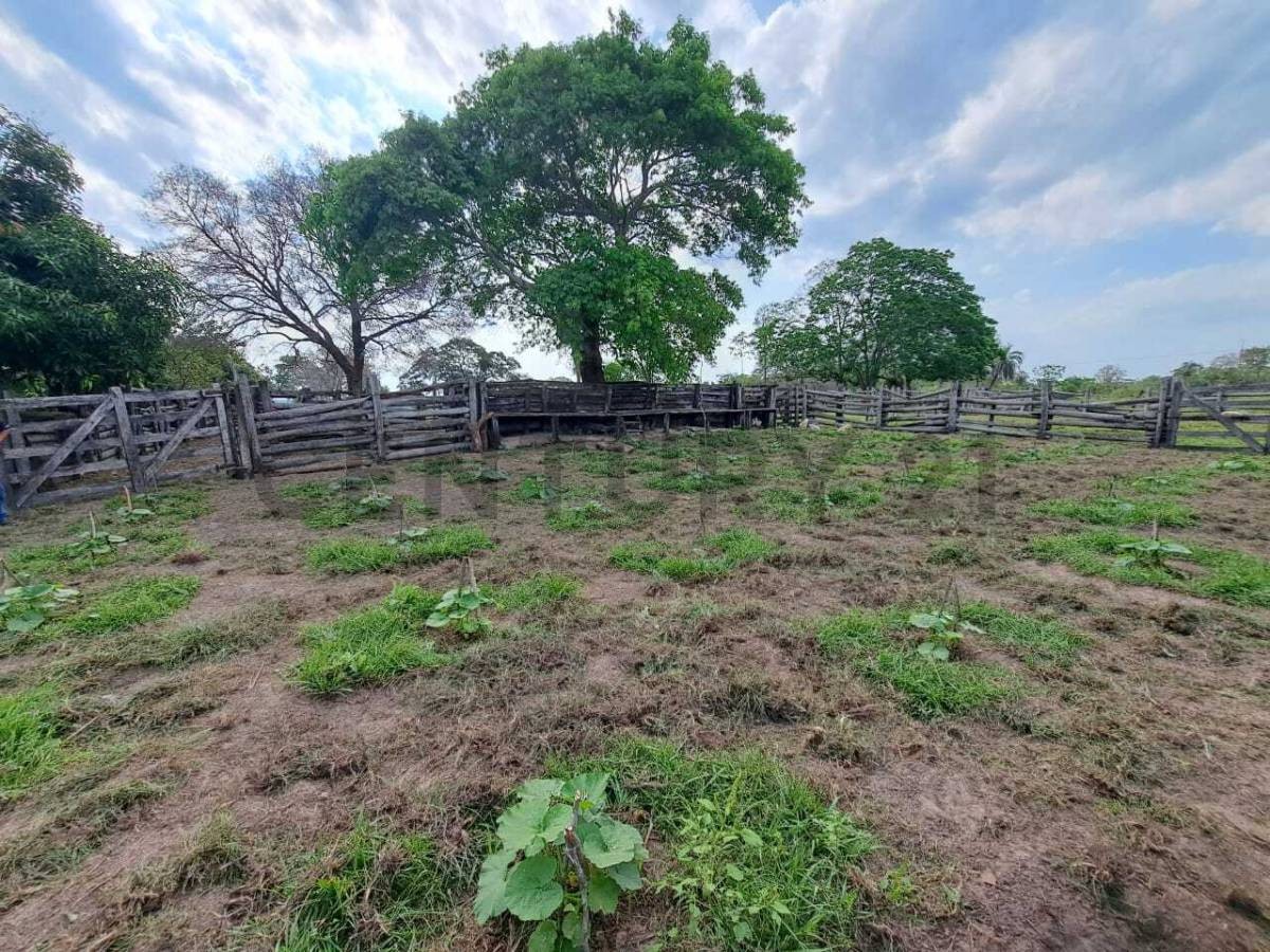 Estancia en venta con 319 ha. Concepción, Loreto — foto 3