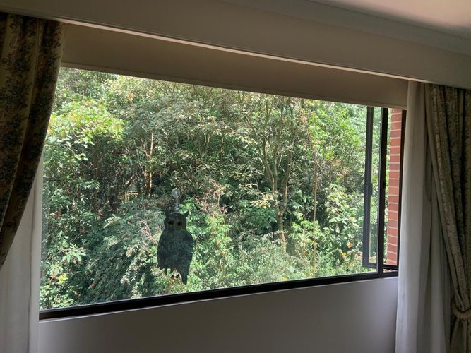 Apartamento de 4 alcobas en venta en Bella Vista, Bogotá, 464 m² · foto 8 de 13