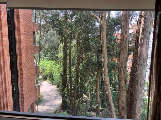 Apartamento de 4 alcobas en venta en Bella Vista, Bogotá, 464 m² · foto 10 de 13
