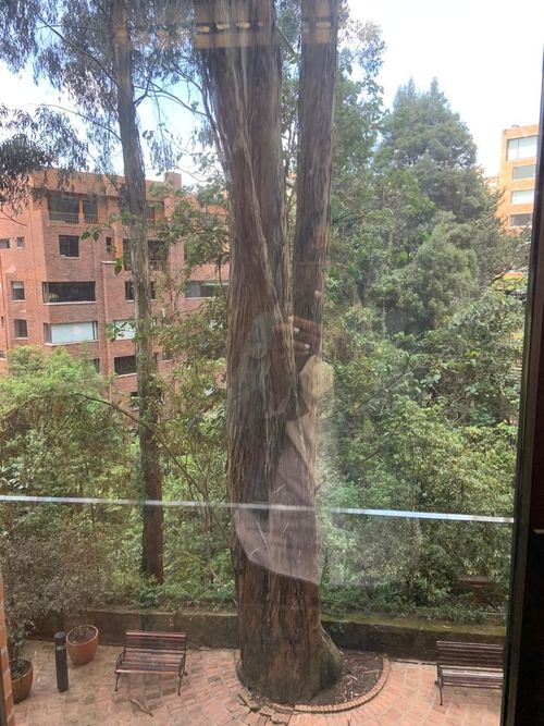 Apartamento de 4 alcobas en venta en Bella Vista, Bogotá, 464 m² · foto 11 de 13