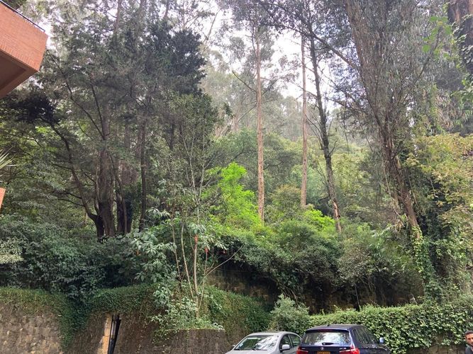 Apartamento de 4 alcobas en venta en Bella Vista, Bogotá, 464 m² · foto 13 de 13