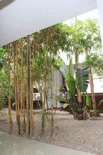 Casa en venta en Santa Ana, Bogotá · foto 11 de 13