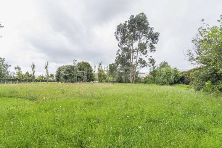 Lote en venta en Vda Canelon, Cajicá, 450 m² · foto 2 de 24