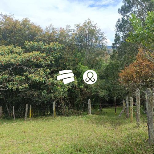 Lote en venta en Los Salados, El Retiro, 6997 m² · foto 2 de 9