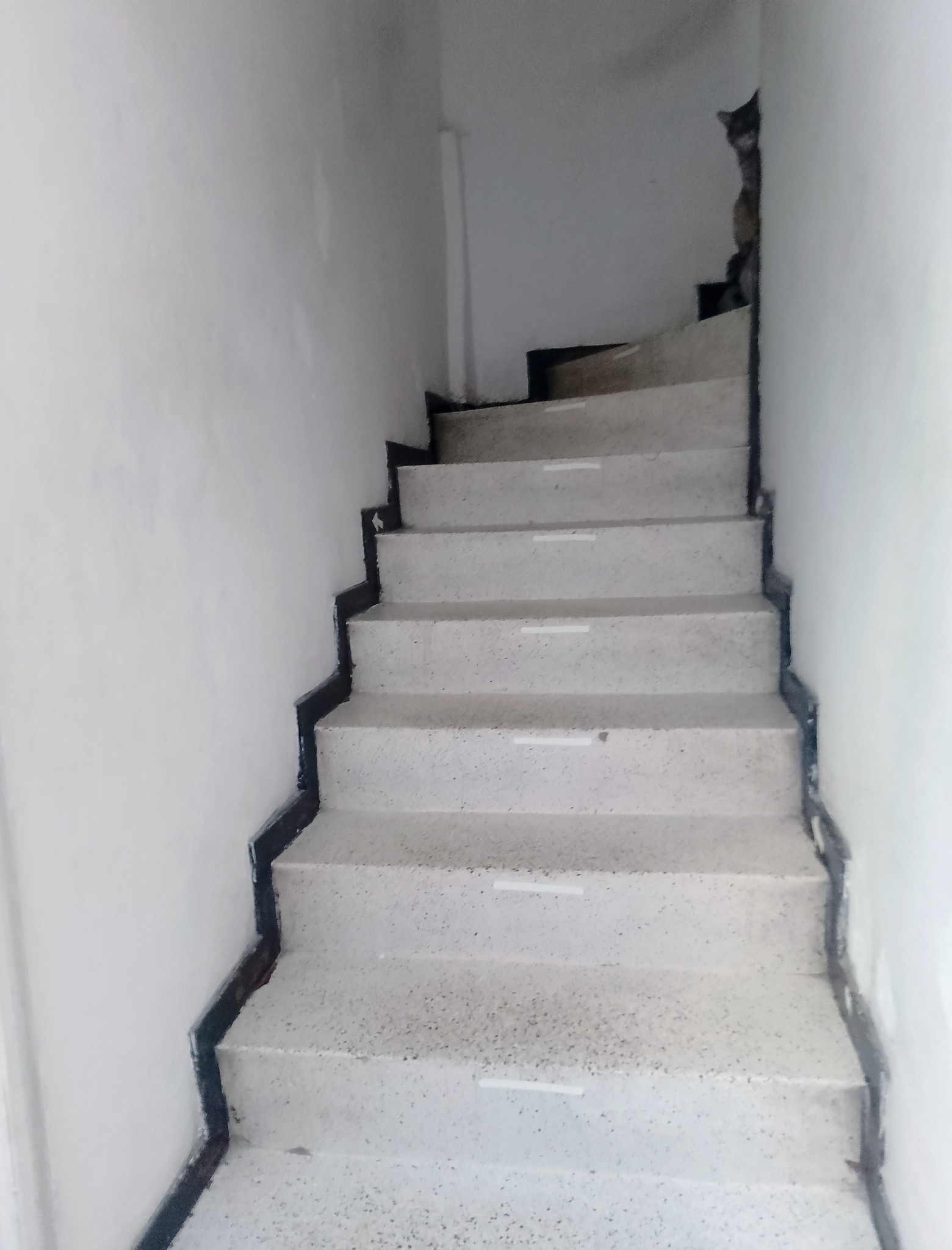 Casa en venta en San Fernando Occidental, Bogotá · foto 7 de 16