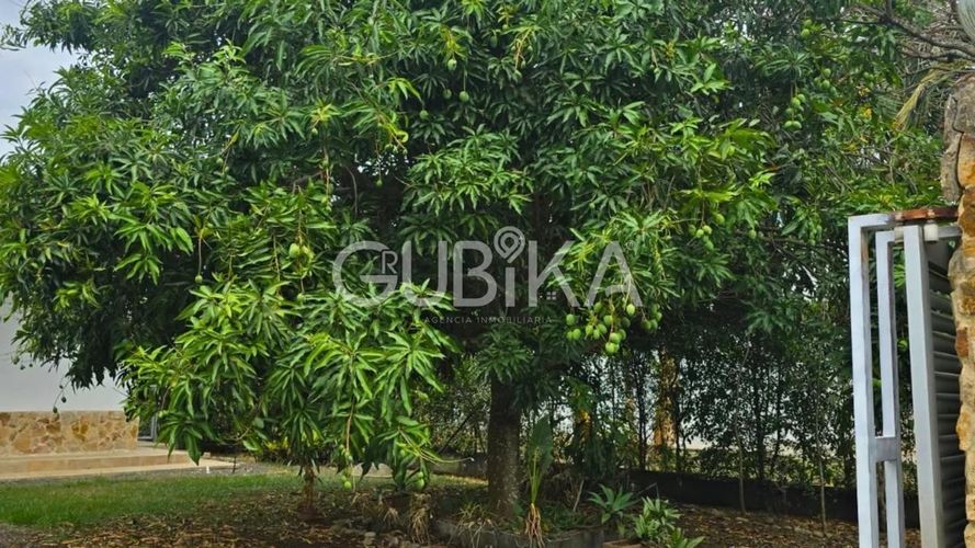 Casa de 3 alcobas en venta en La Morada, Jamundí, 450 m² · foto 5 de 20