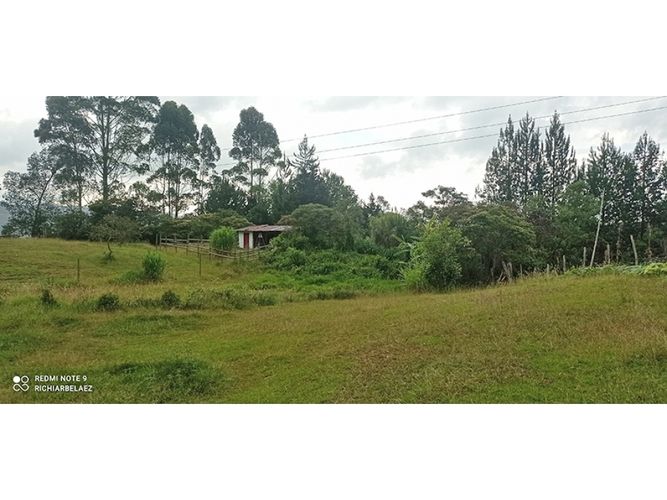 Finca en venta en Guarne, 300 m² · foto 4 de 24