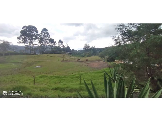 Finca en venta en Guarne, 300 m² · foto 6 de 24