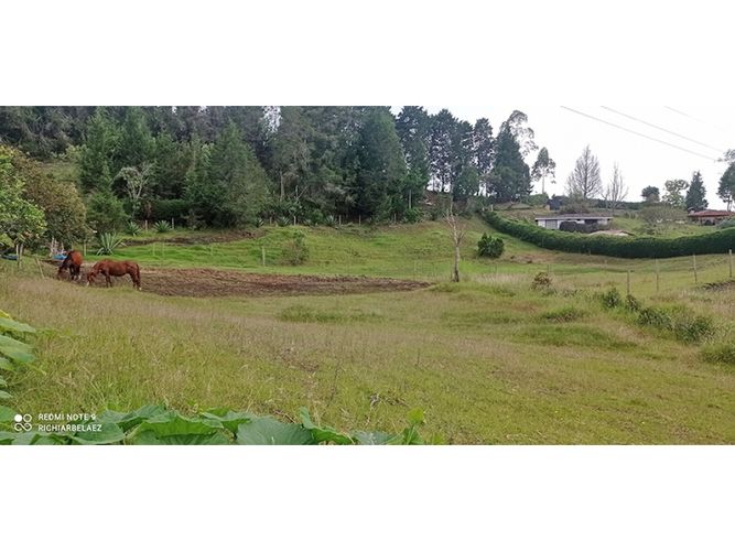 Finca en venta en Guarne, 300 m² · foto 11 de 24
