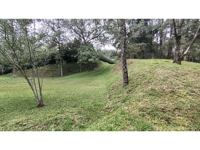 Lote en venta en Vía Las Palmas, Envigado, 7067 m² · foto 4 de 7