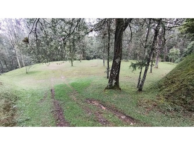 Lote en venta en Vía Las Palmas, Envigado, 7067 m² · foto 5 de 7