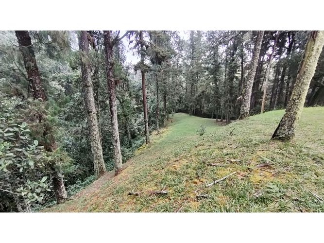 Lote en venta en Vía Las Palmas, Envigado, 7067 m² · foto 6 de 7