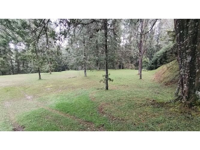 Lote en venta en Vía Las Palmas, Envigado, 7067 m² · foto 7 de 7
