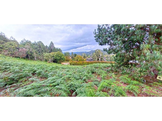 Lote en venta en Vía Las Palmas, El Retiro, 5712 m² · foto 2 de 3